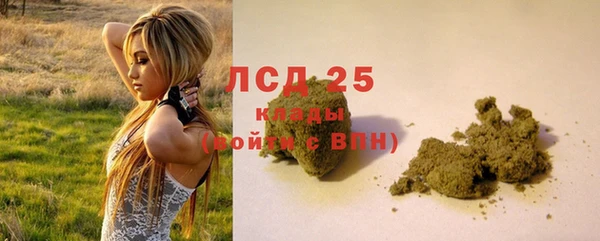 PSILOCYBIN Лихославль