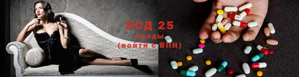 PSILOCYBIN Лихославль