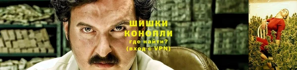 PSILOCYBIN Лихославль