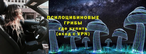 PSILOCYBIN Лихославль