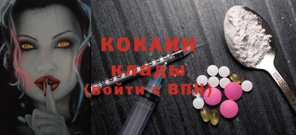 PSILOCYBIN Лихославль