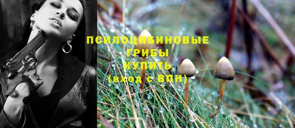 прущая мука Магас