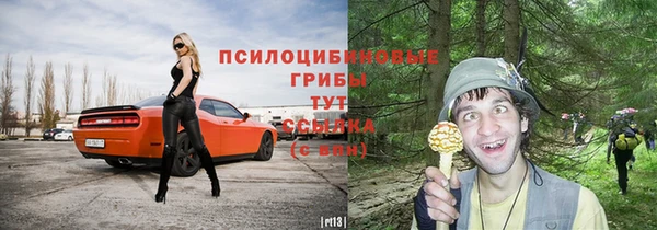 PSILOCYBIN Лихославль