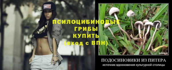 PSILOCYBIN Лихославль